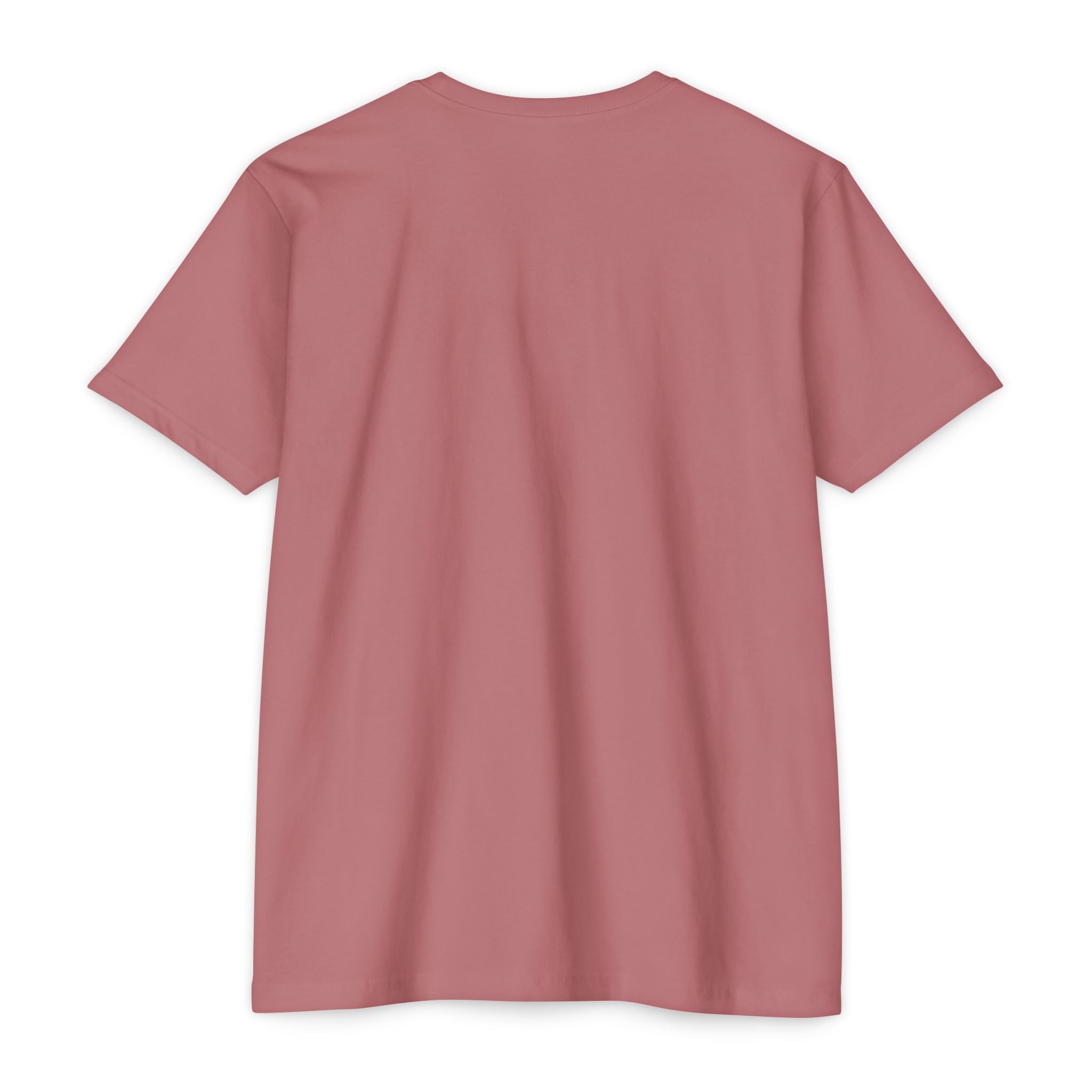 Fortune Favors the Brave (Unisex CVC Jersey T-shirt)