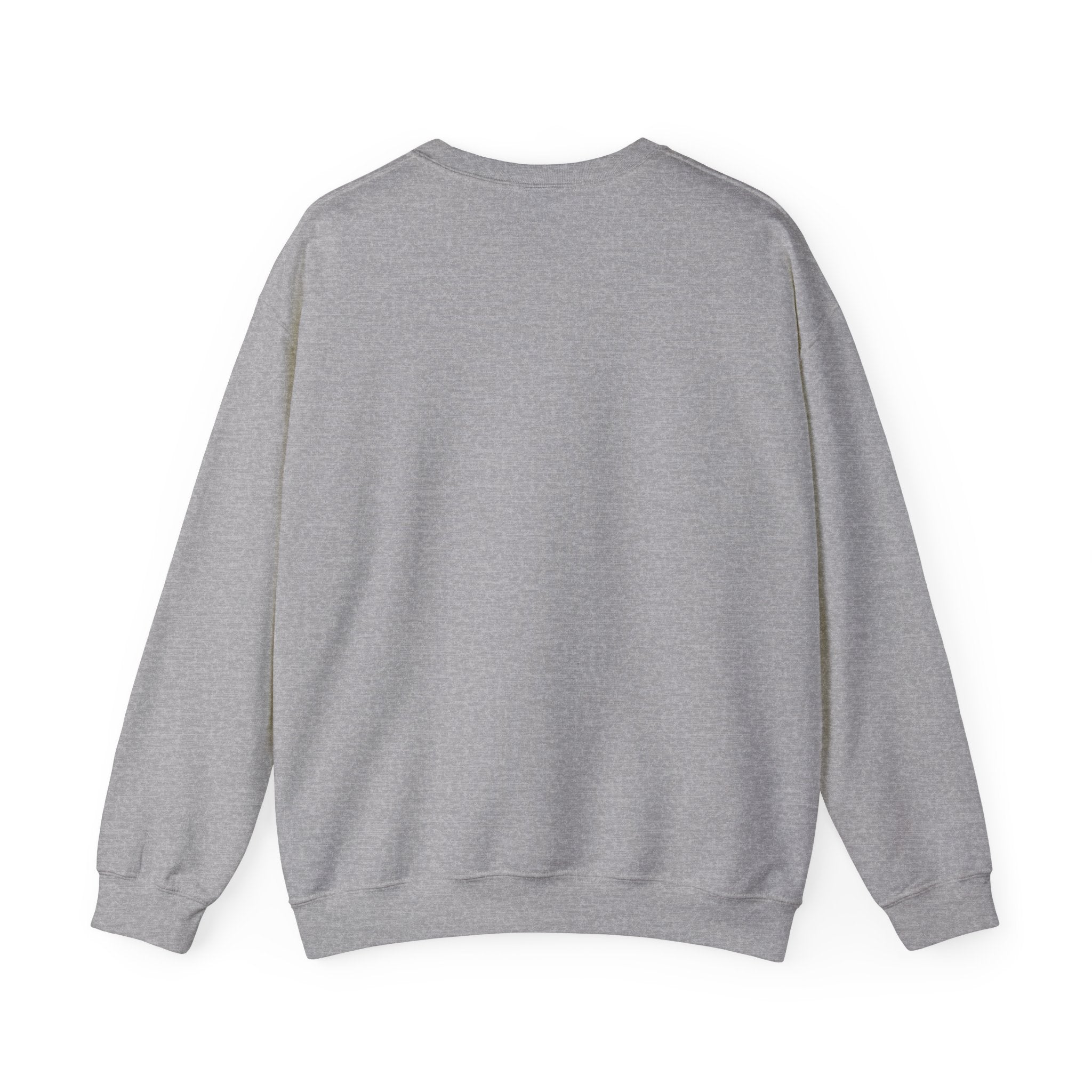 Halftime Show 'Til Next Year Sweatshirt | halftime concert shirt, big game music joke