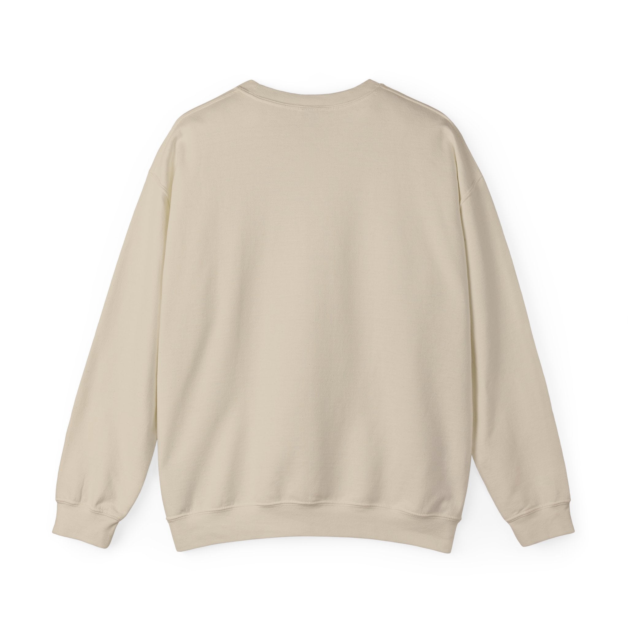 Halftime Show 'Til Next Year Sweatshirt | halftime concert shirt, big game music joke