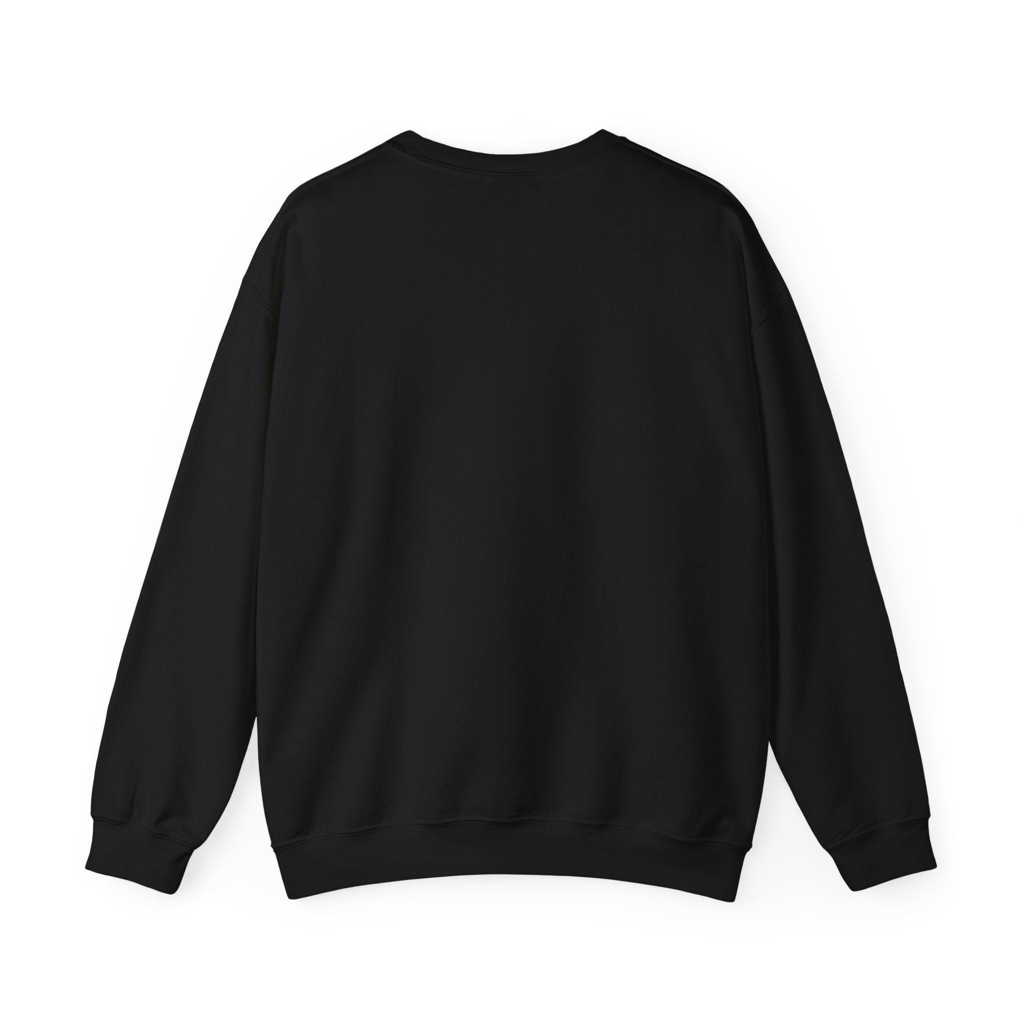 Halftime Show 'Til Next Year Sweatshirt | halftime concert shirt, big game music joke