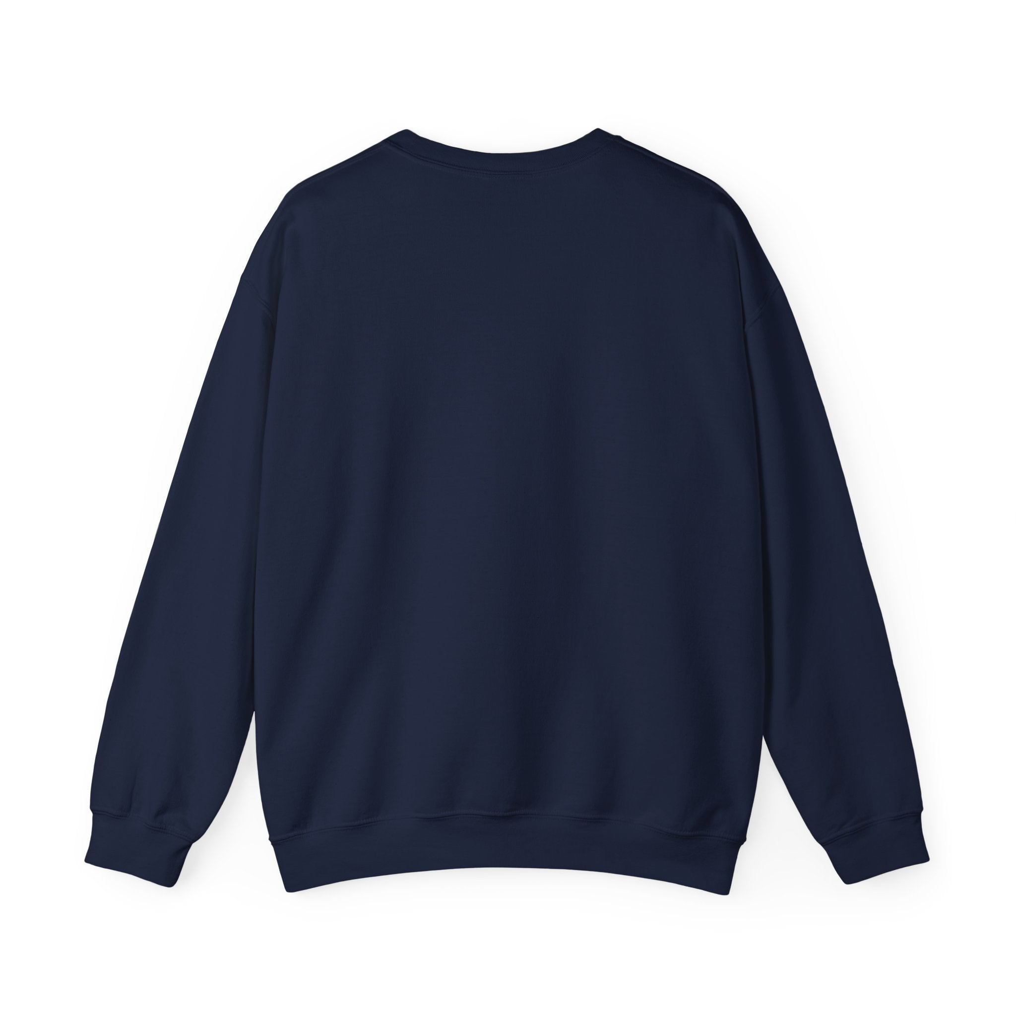 Halftime Show 'Til Next Year Sweatshirt | halftime concert shirt, big game music joke
